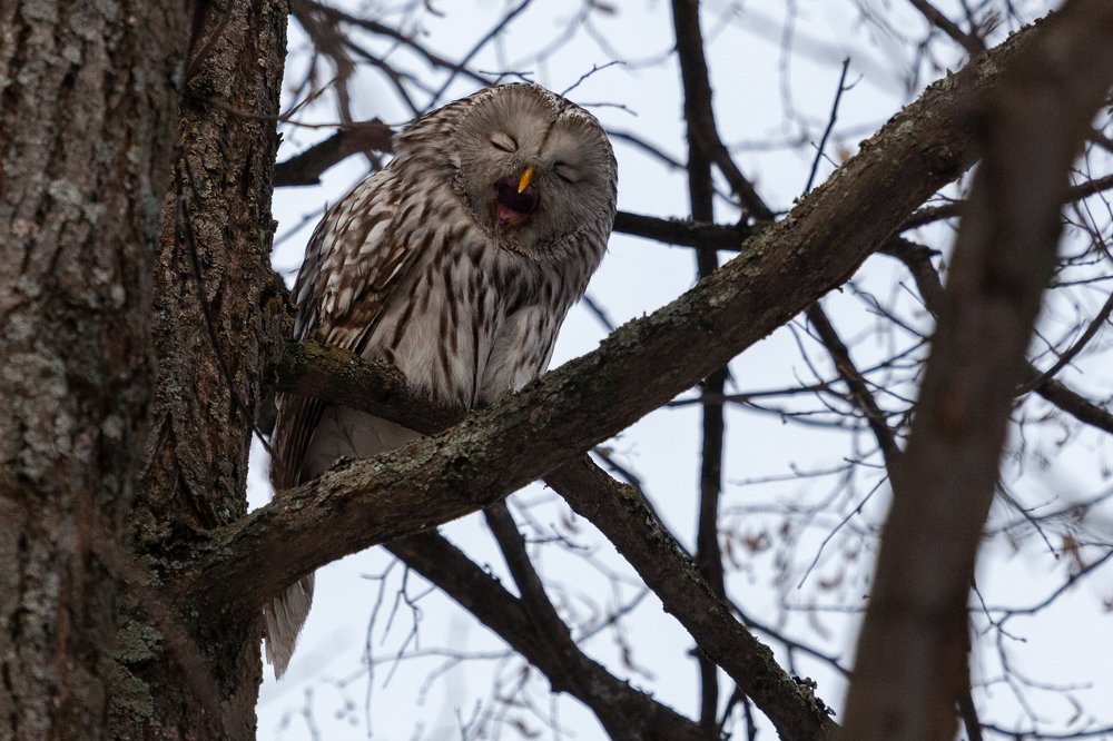 Photograph by Марат Кучкаев