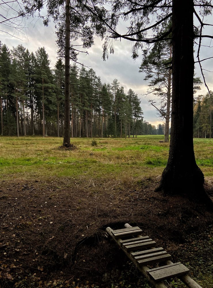 Photograph by Александра Морозова