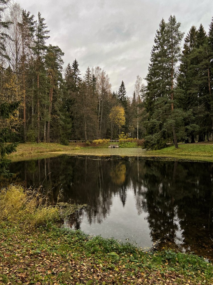 Photograph by Александра Морозова