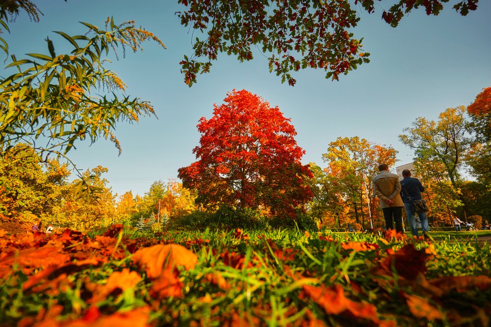 Фотография автора Максим Вержбицкий