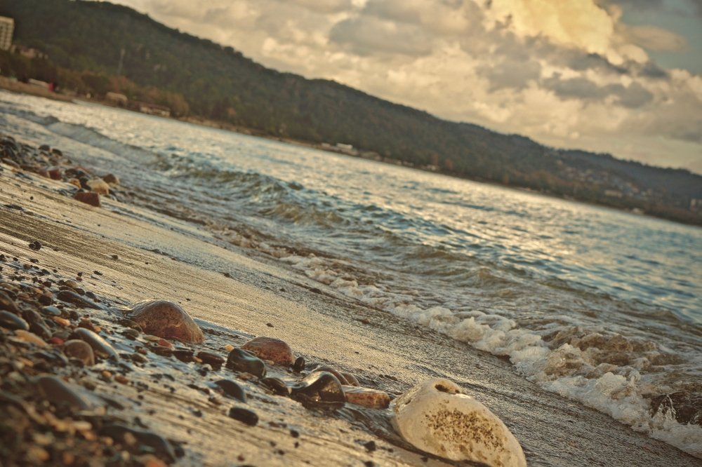 Photograph by Эльза Чанба