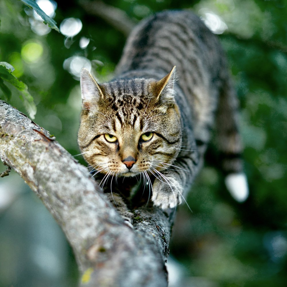 Photograph by Ольга Темкина