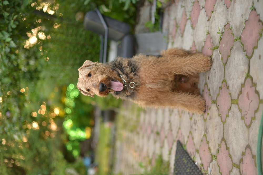 Photograph by Ольга Темкина