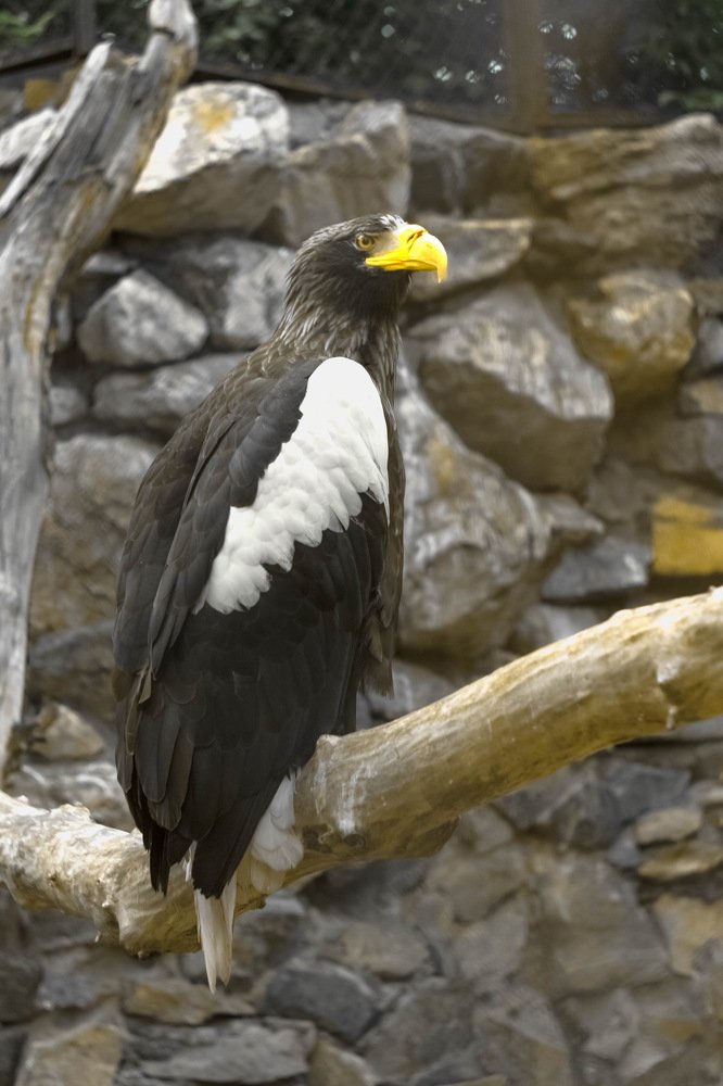 Photograph by Ян Рюмин