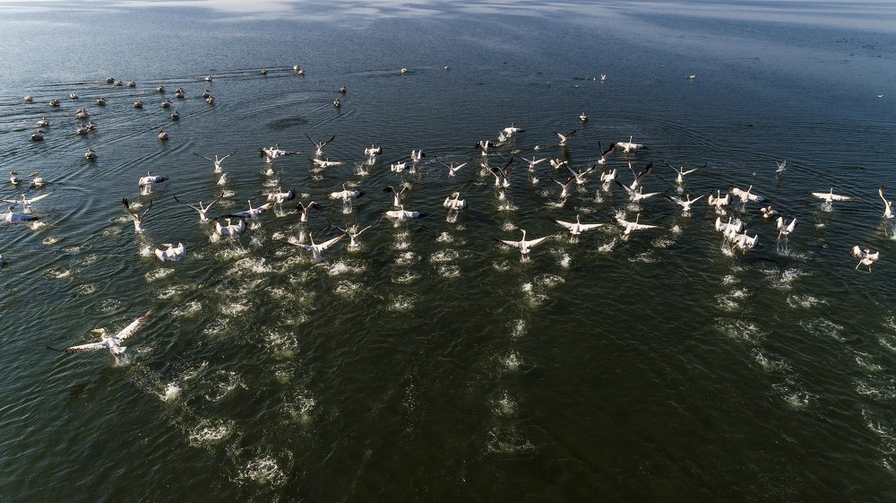 Photograph by Сергей Лазуткин