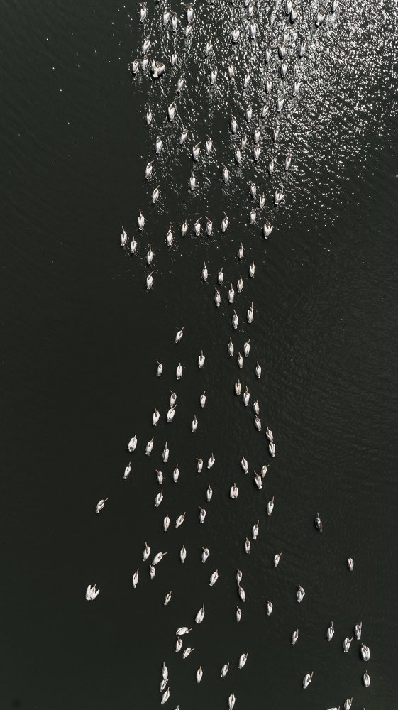 Photograph by Сергей Лазуткин