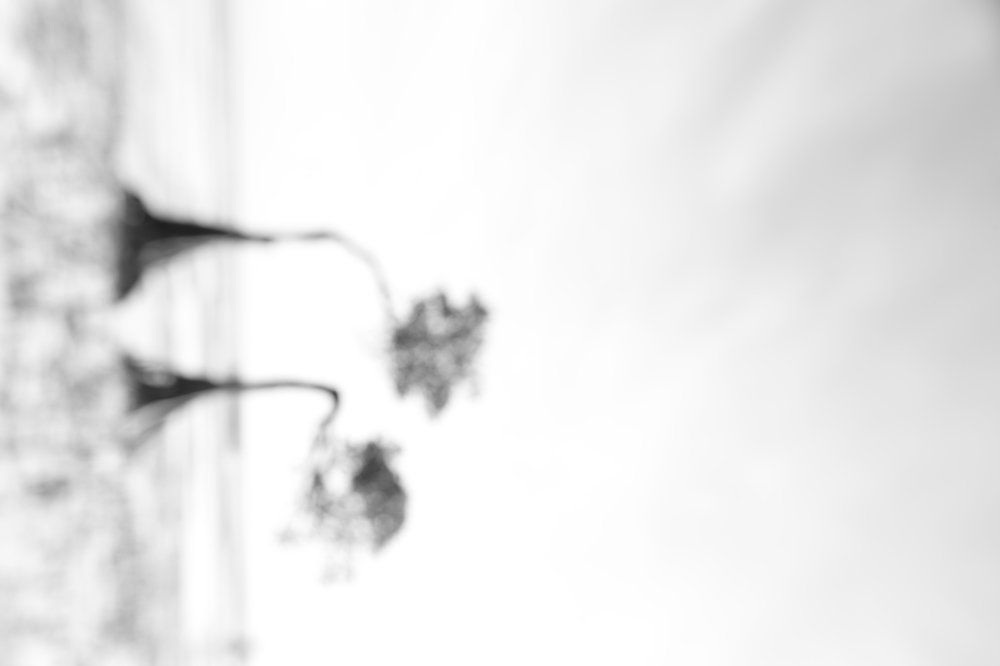 Photograph by Yusie Meiti