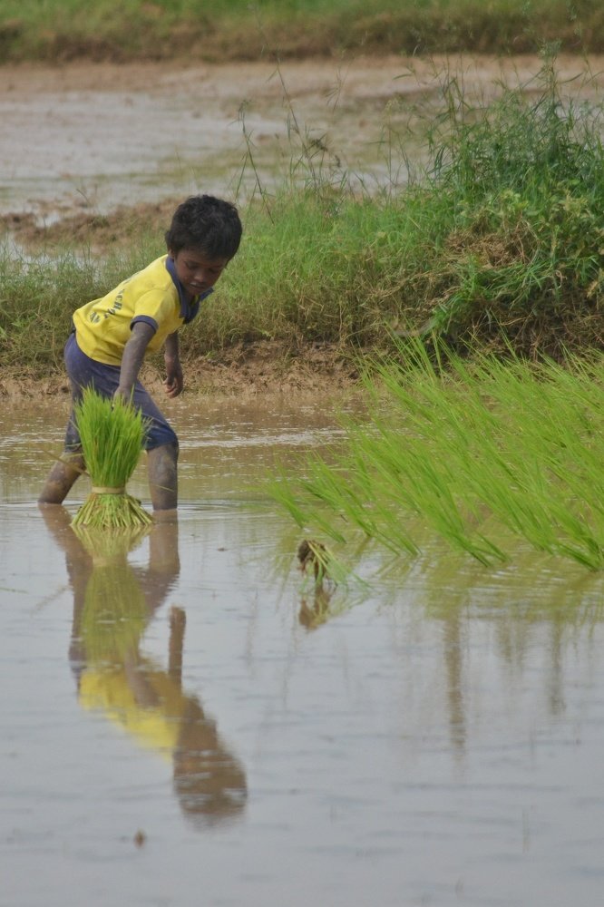 Photograph by Muhammad Ashiq