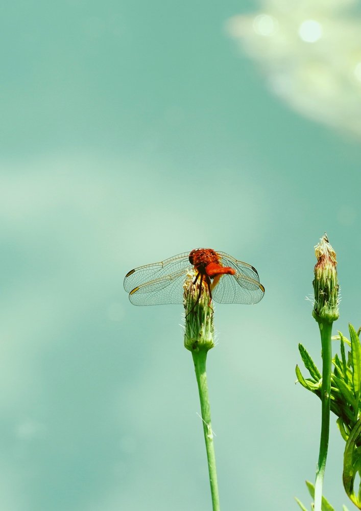 Фотография автора Наталья Князева