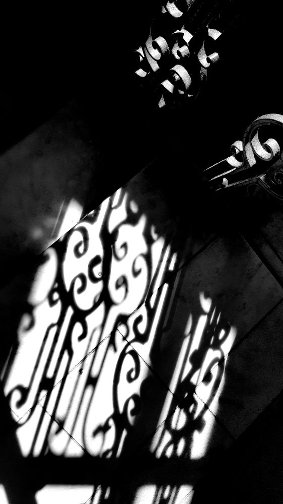 Photograph by Ninel Roshchina