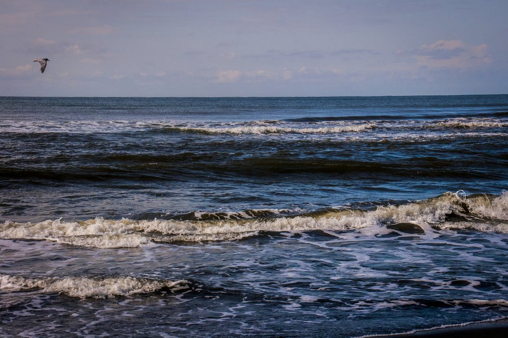 Фотография автора sose