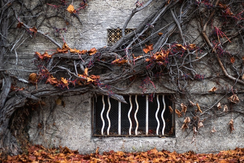 От общего к деталям