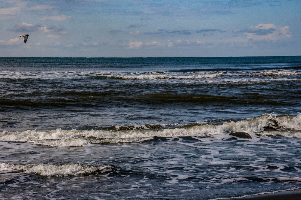 Фотография автора sose