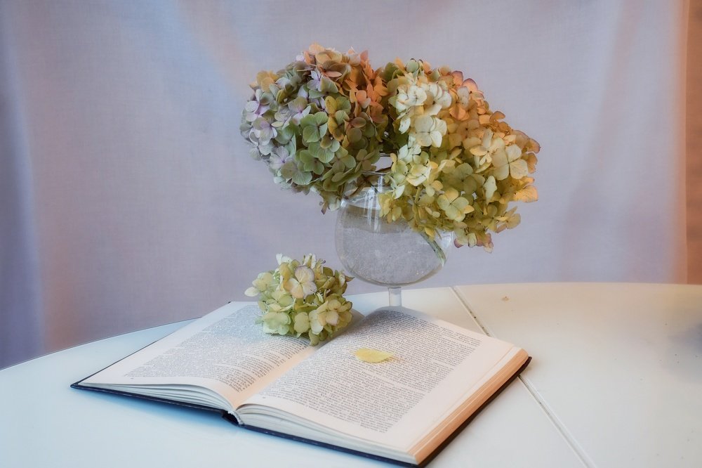 Photograph by Алина Голубева