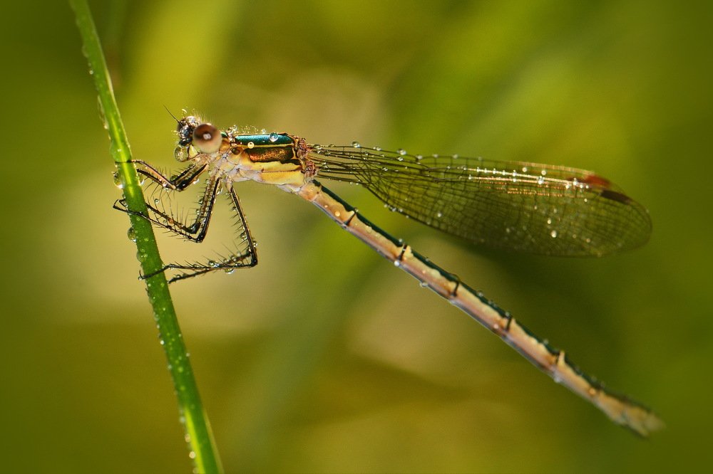 После дождя.