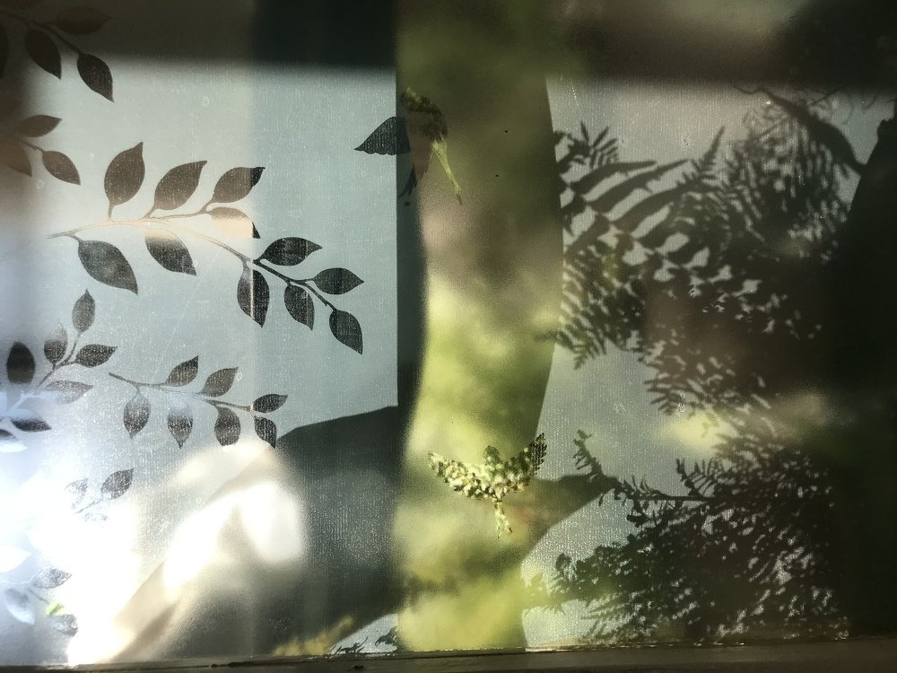 Photograph by Anna Karamurzina