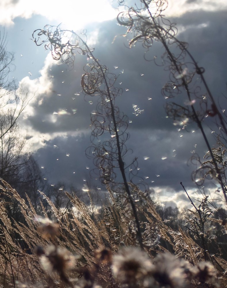 Photograph by Юлия Орлова