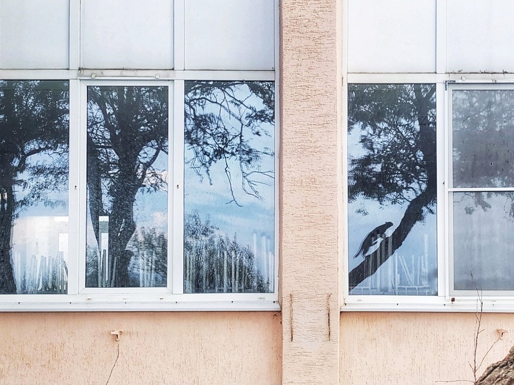 Photograph by Екатерина Харитонова