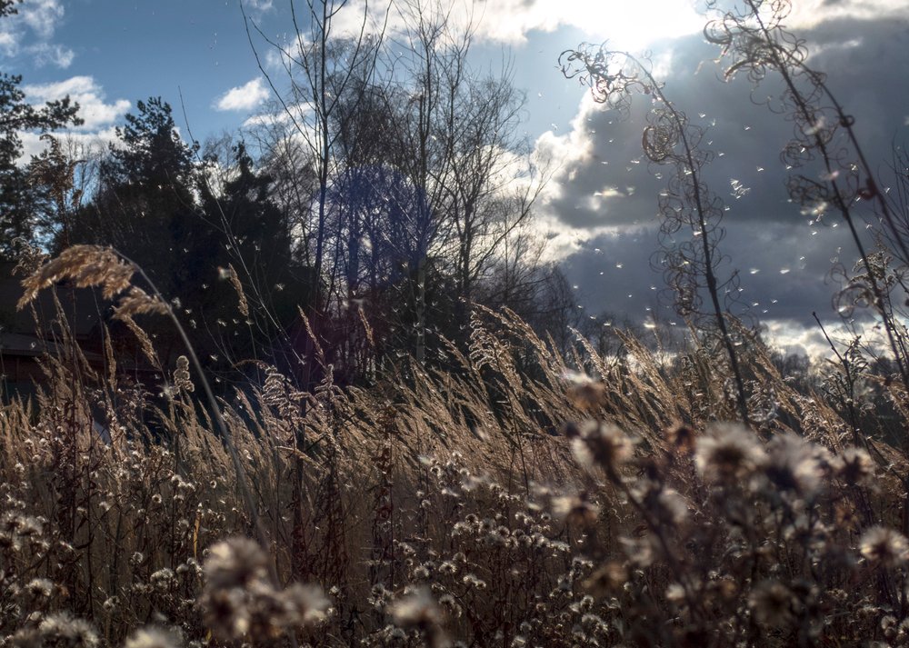 Photograph by Юлия Орлова