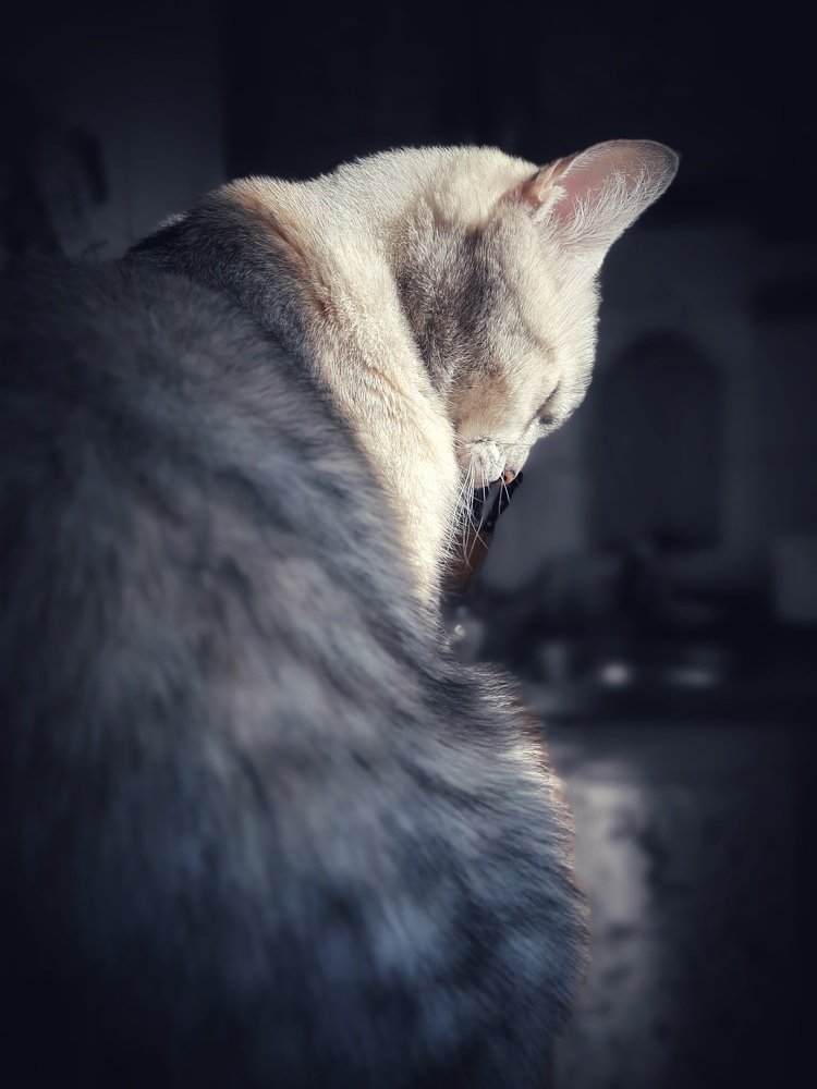 Photograph by Виталий Голота