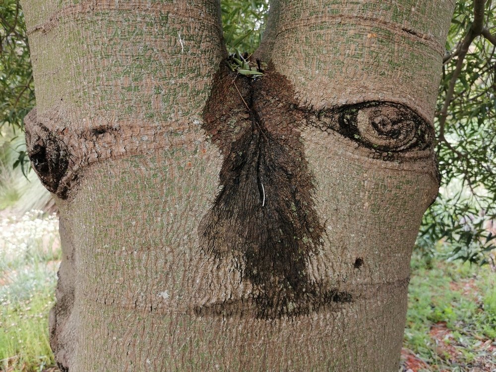 Photograph by Снежана Фирсова