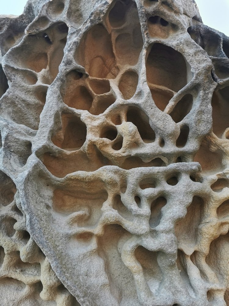 Photograph by Снежана Фирсова