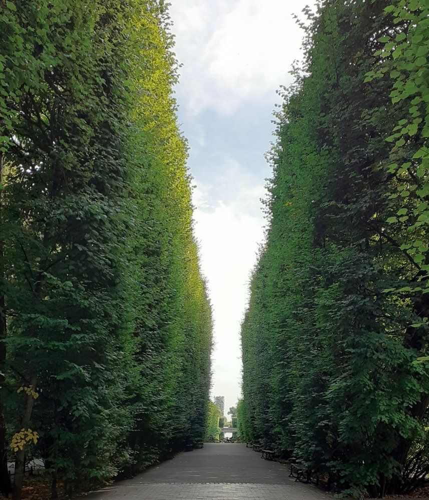 Park Oliva, Gdansk Poland