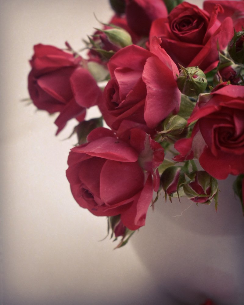 Photograph by Kira Bahvalova