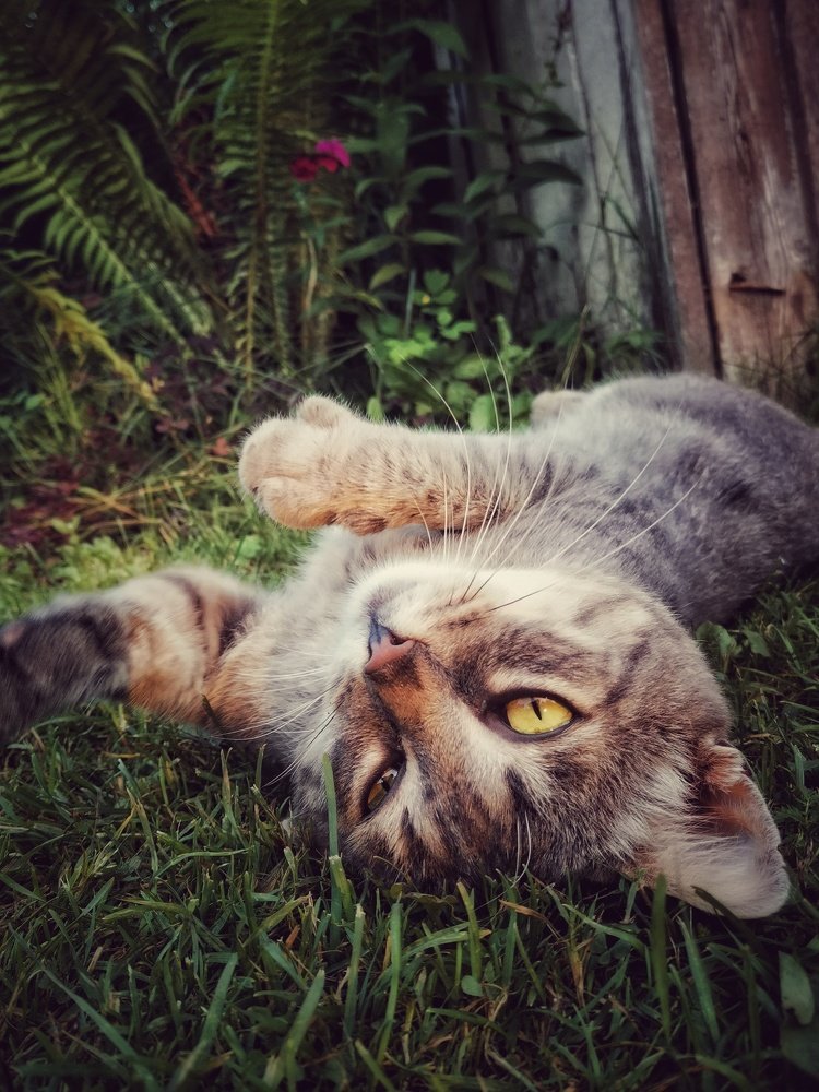 Photograph by Екатерина Ремез