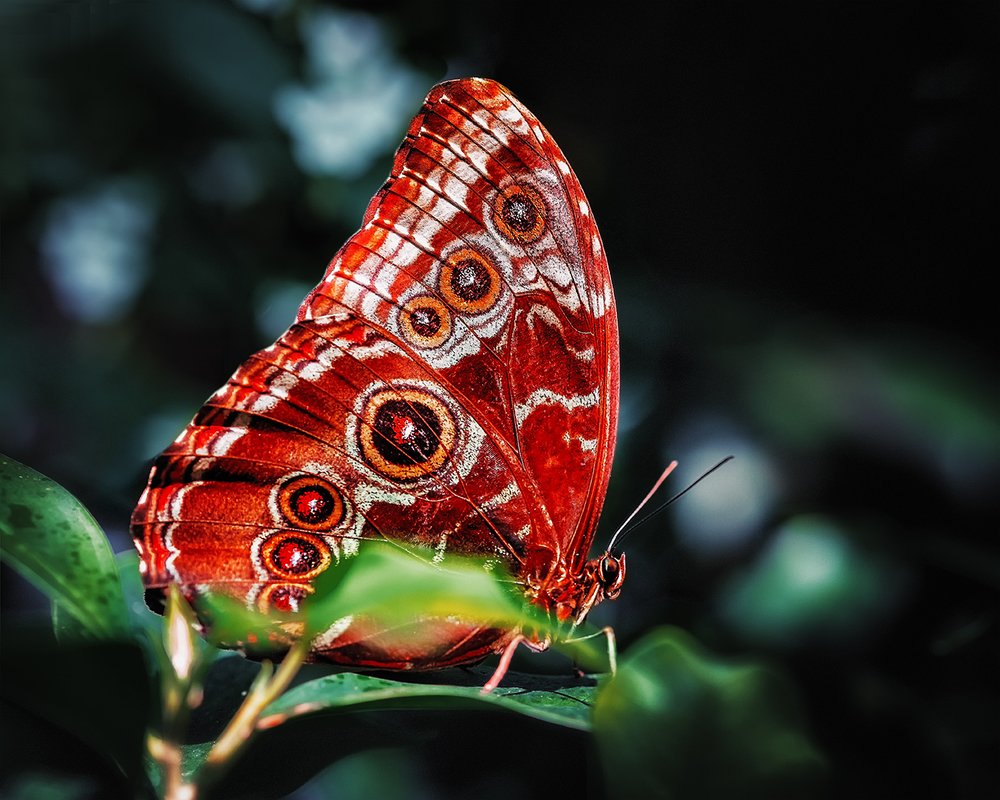 Photograph by Галина Иванова