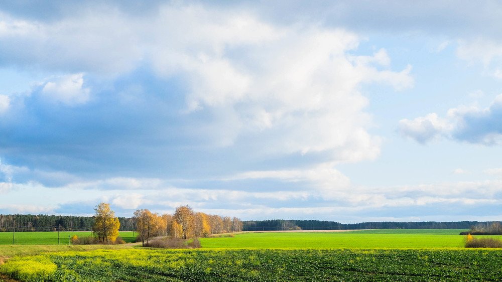 Фотография автора Александр Буренко