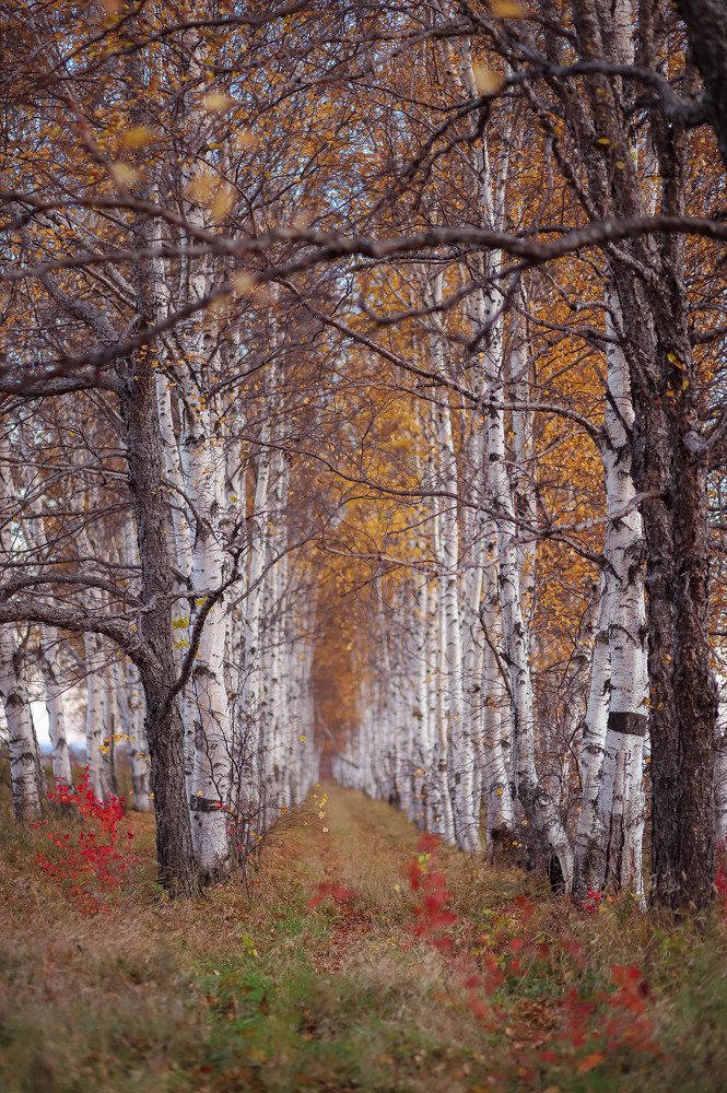 Photograph by Маргарита Федурина