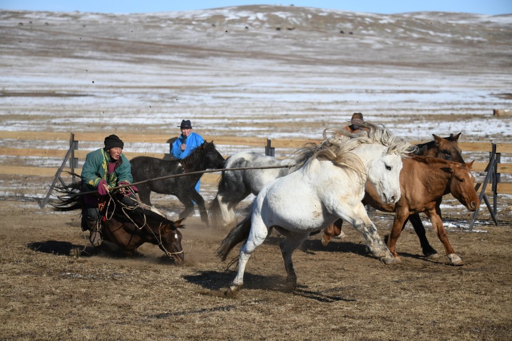 Photograph by Enkhjargal Sugarjav