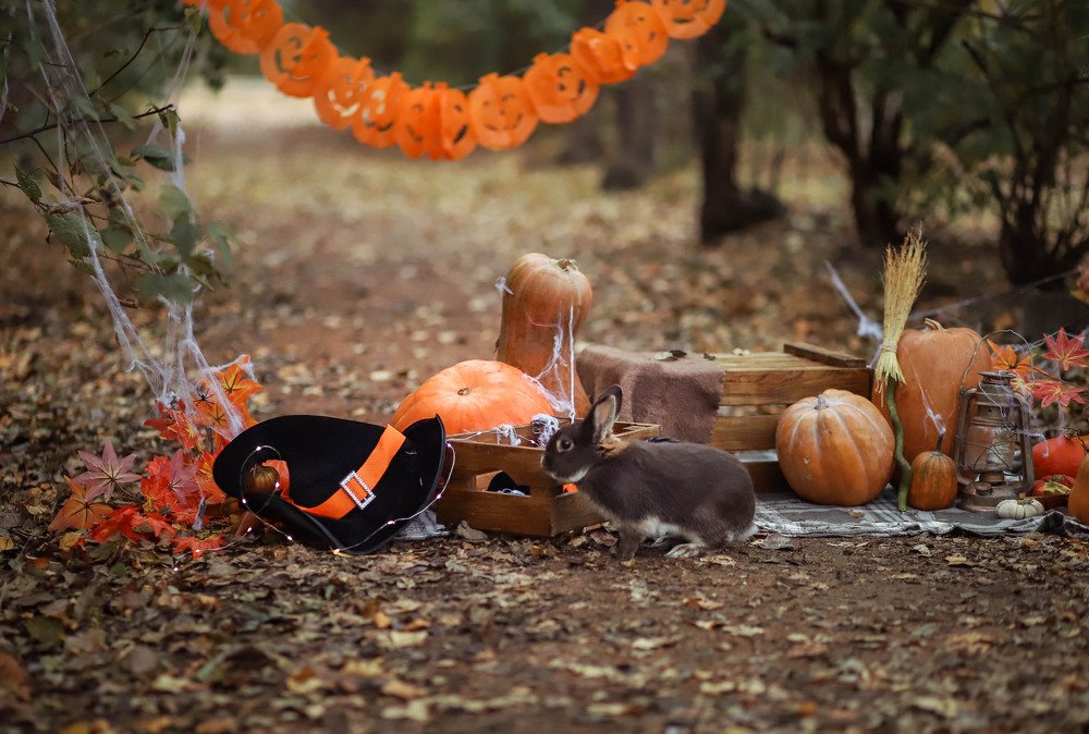 Photograph by Маргарита Федурина