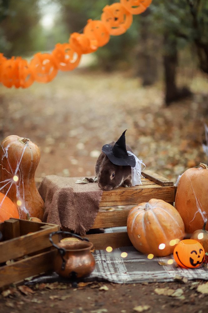 Photograph by Маргарита Федурина