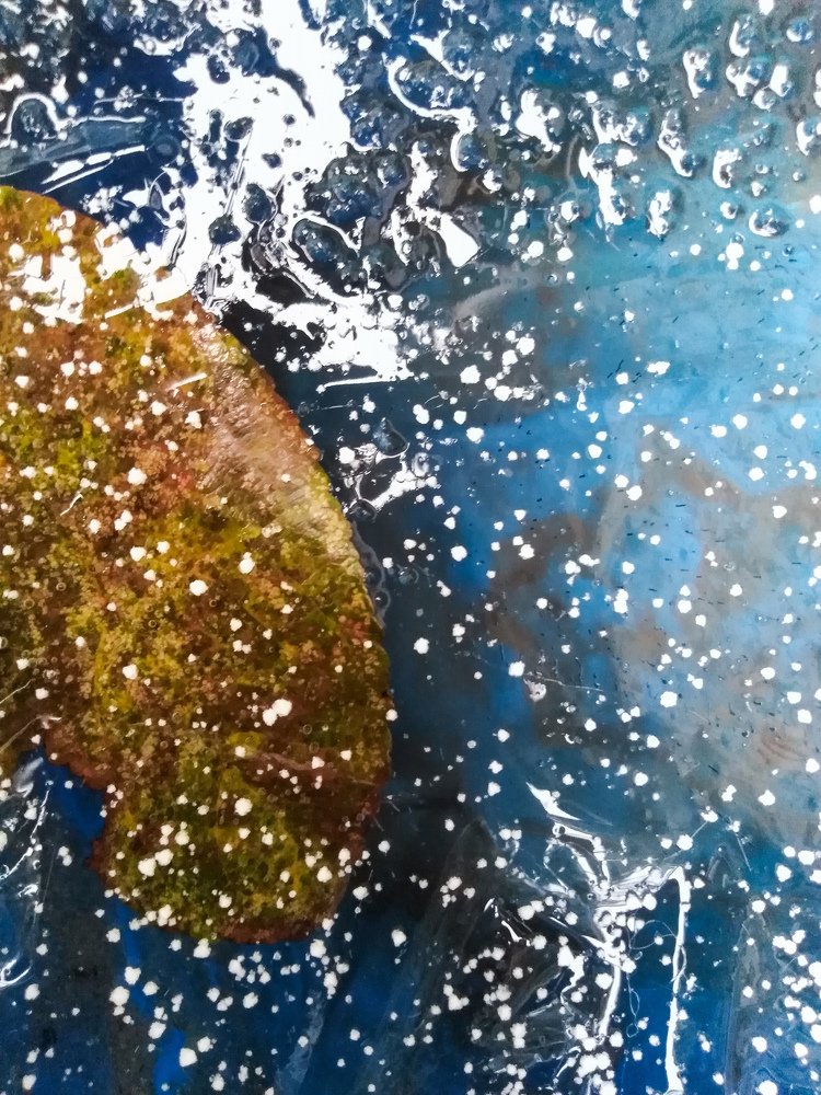 Photograph by Любовь Нефедова