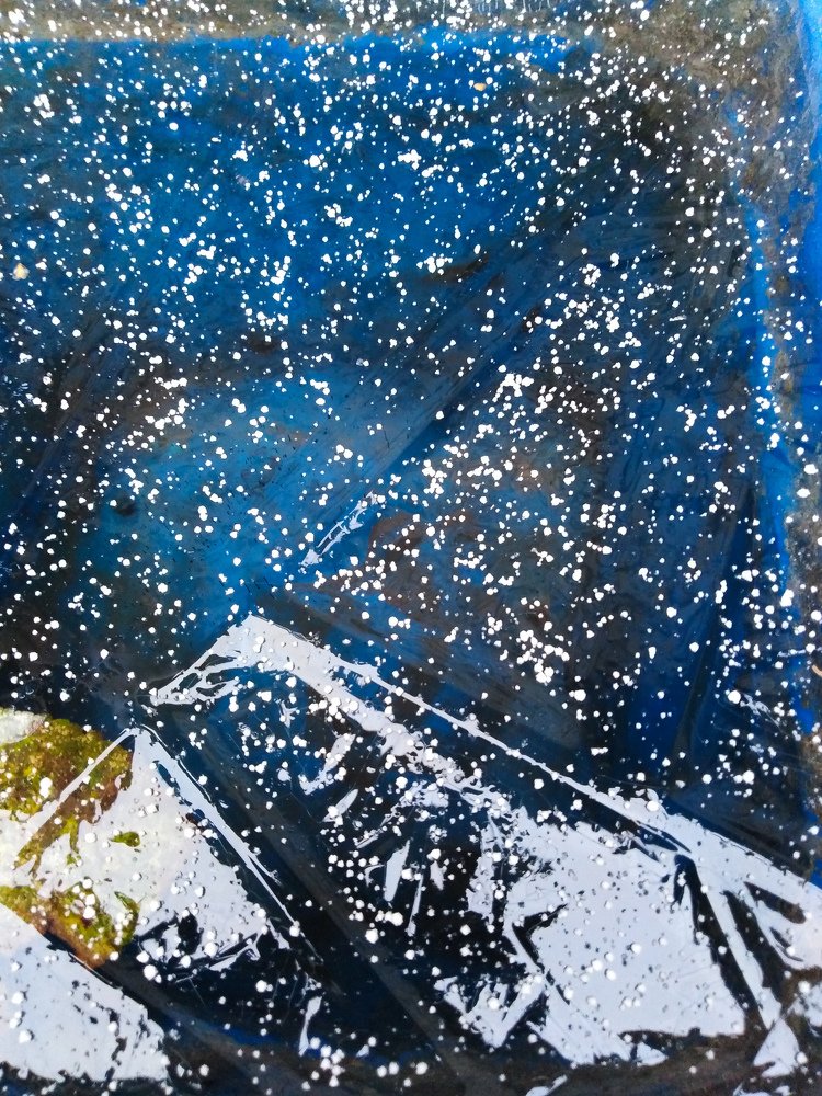 Photograph by Любовь Нефедова