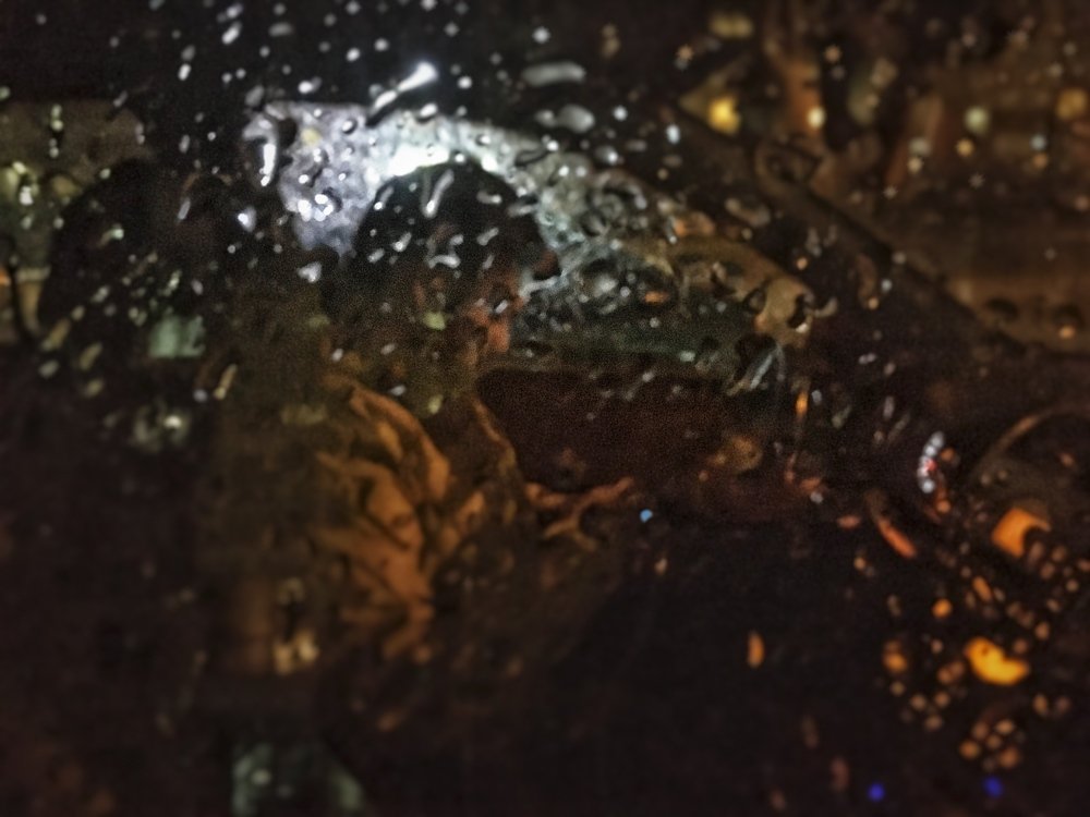 Photograph by Олеся Жигалова