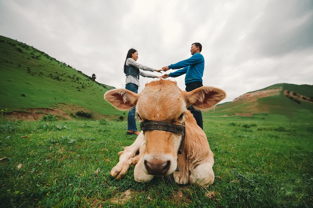 Photograph by Кубаныч Молдокулов