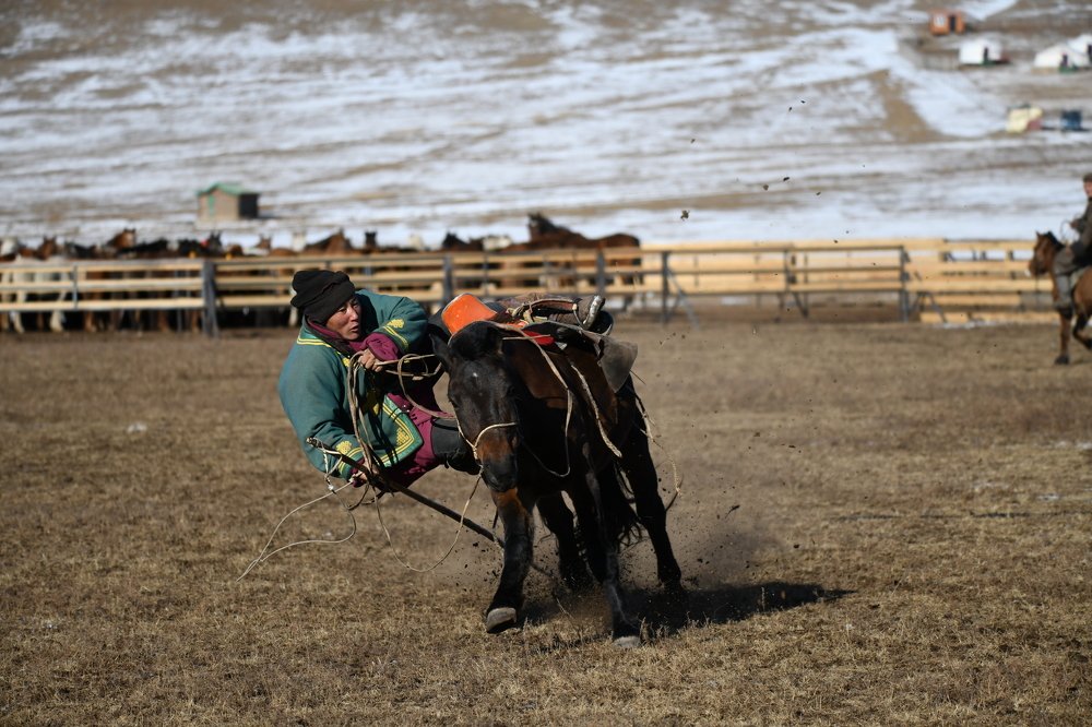 Mongolian horseman.