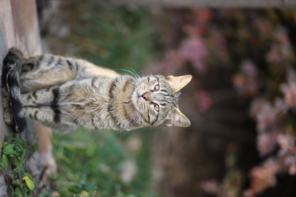 Photograph by Amir hosein Taheri