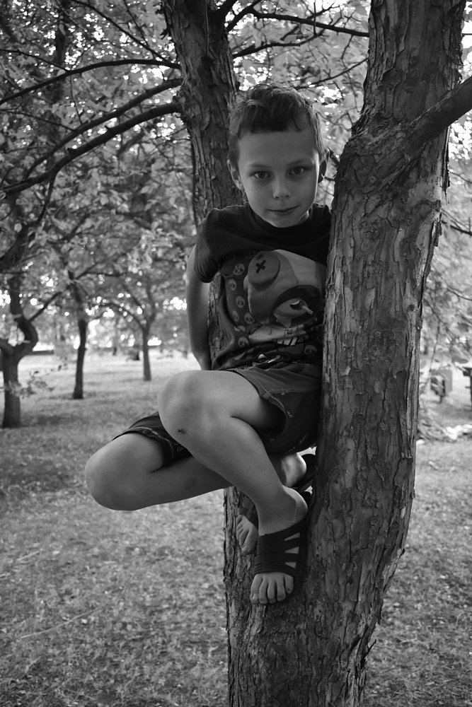 Photograph by Любовь Панфилова