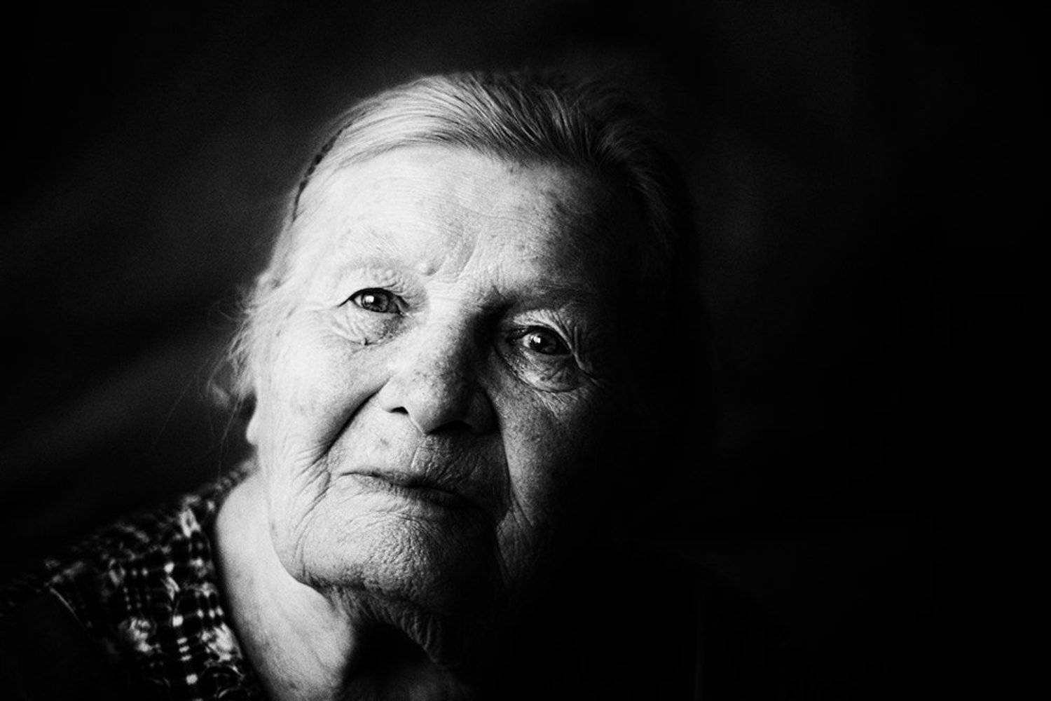 Photo #5222469