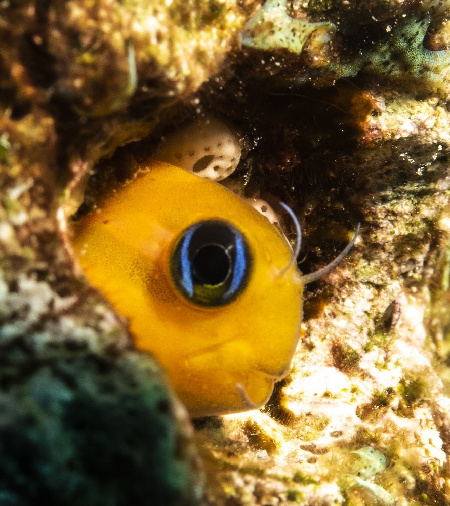 Photograph by Amr Kadry