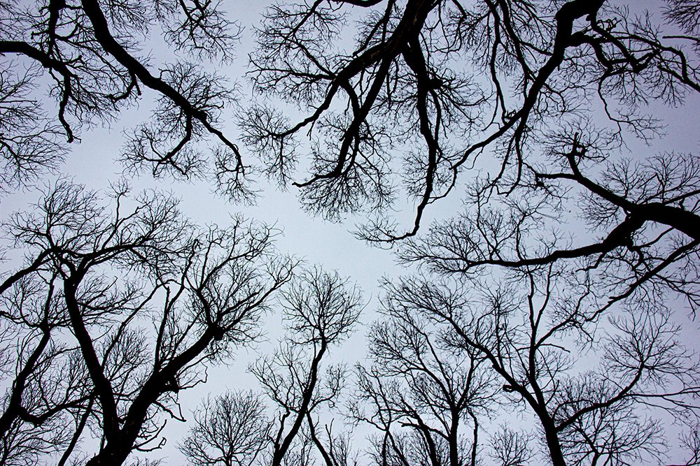 Photograph by Олеся Жигалова