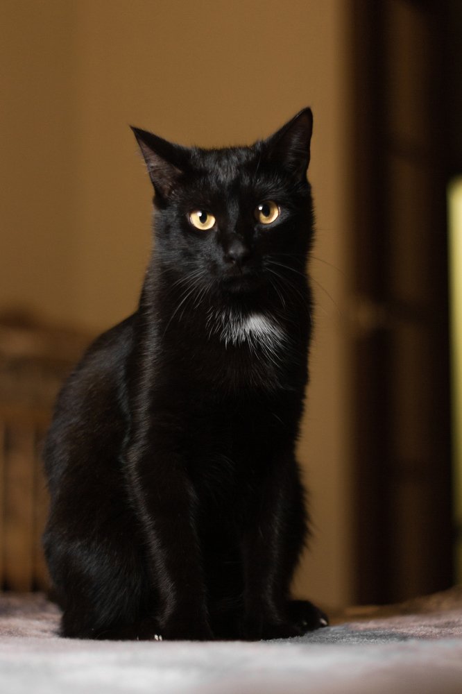 Photograph by Артём Тыщенко