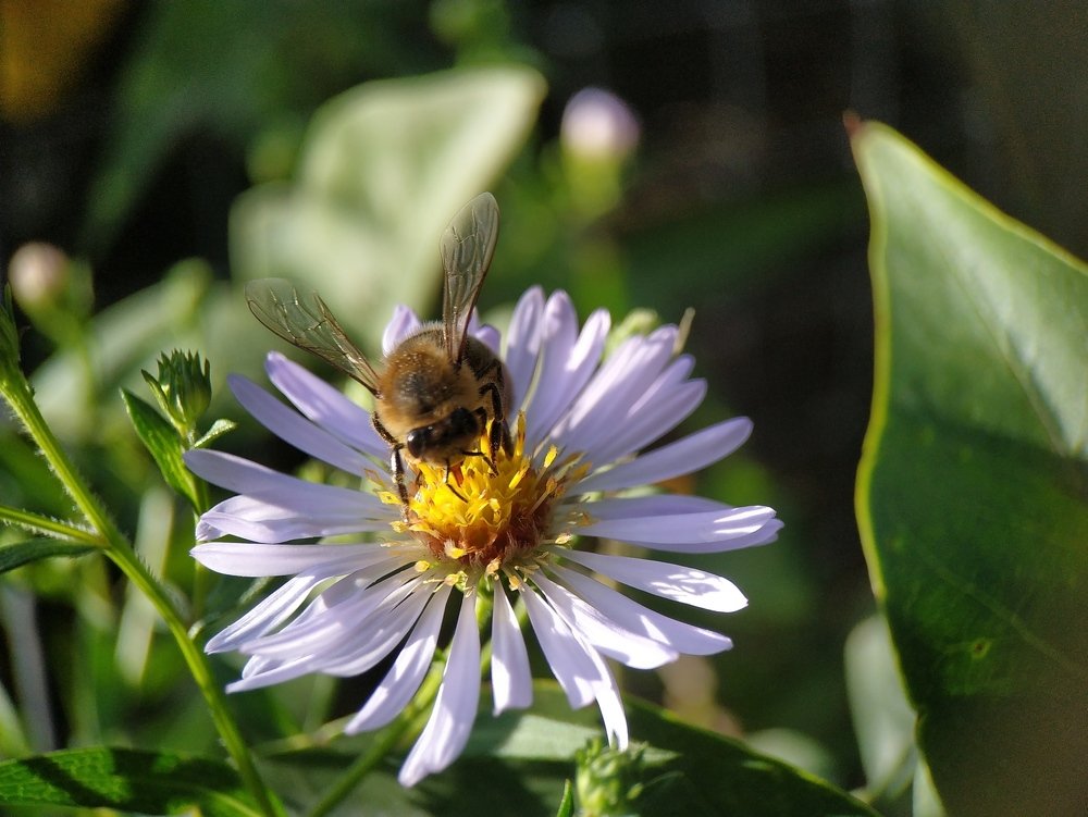 Photograph by Роксалана Лопатенкова
