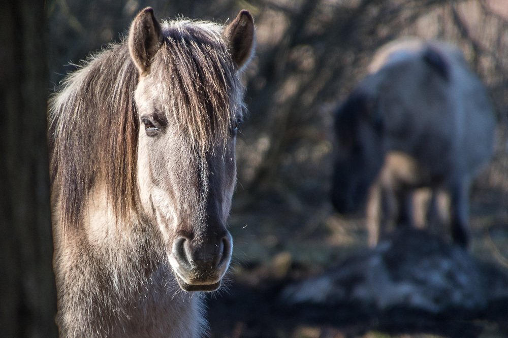 Photograph by Anzela Bazyk