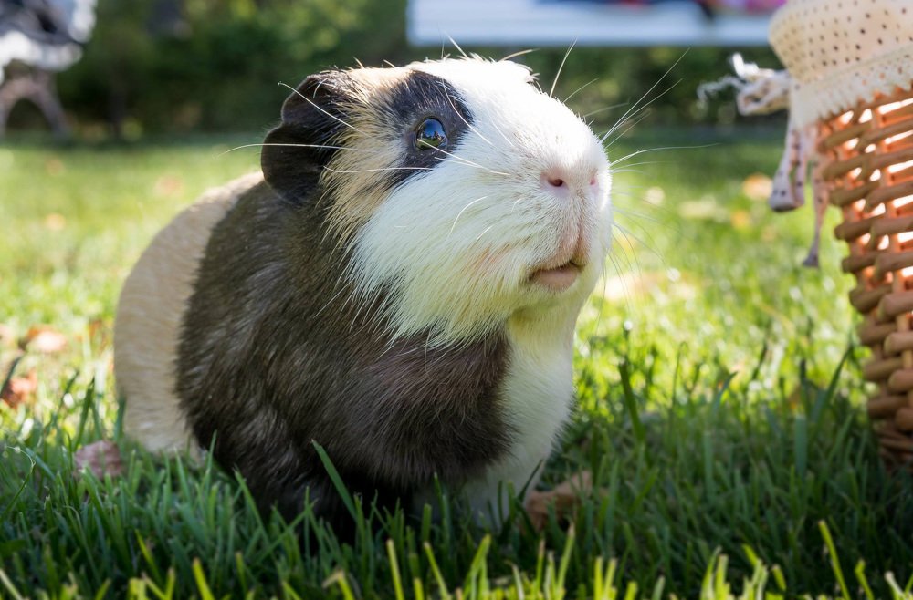 Photograph by Anzela Bazyk