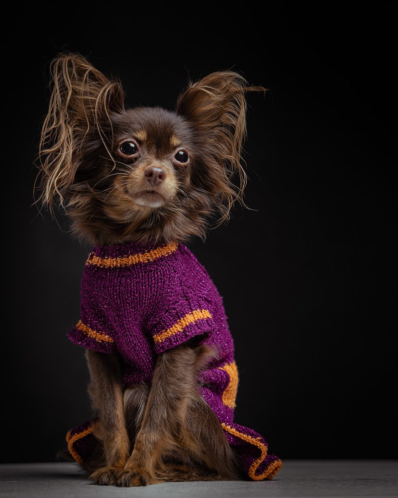 Photograph by Татьяна Богомазова